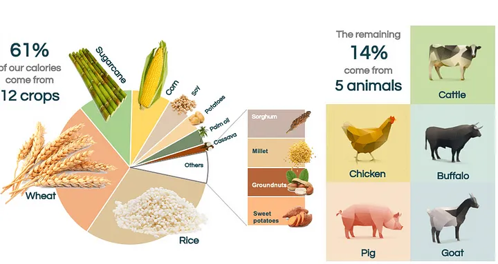 Graph depicting the 12 crops and 5 animals we rely on the most